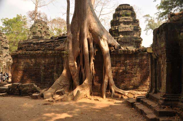 Ta Prohm