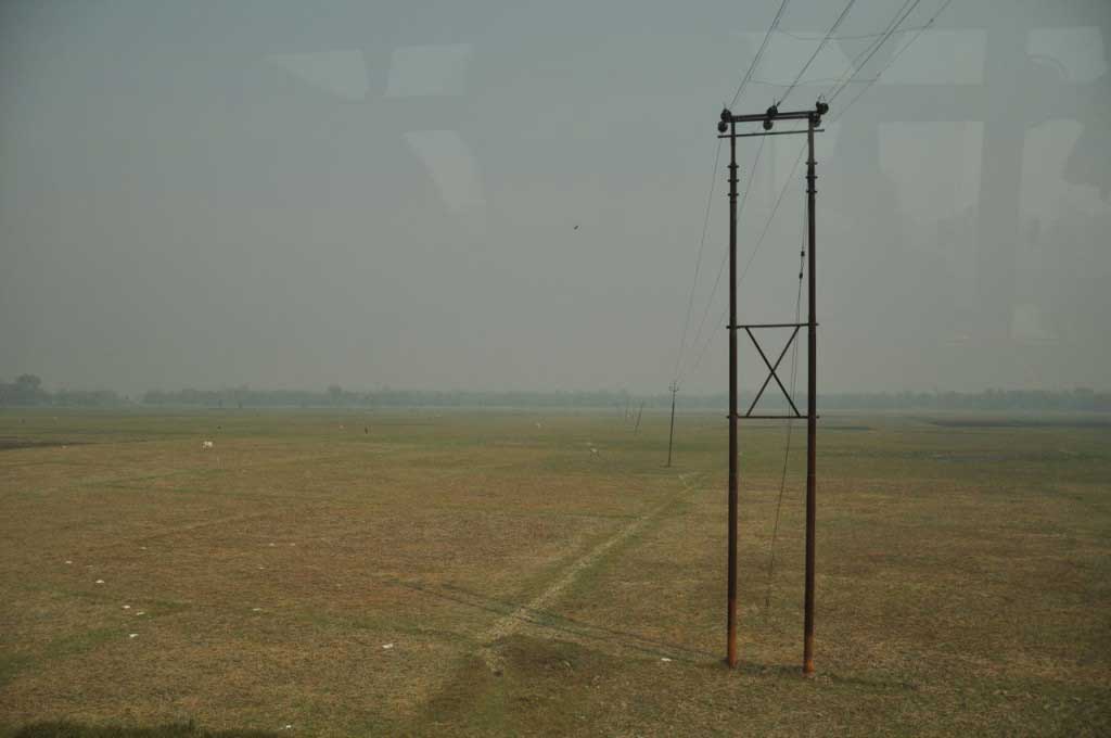 Campos de arroz. Assam