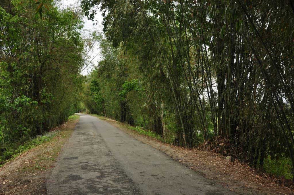 Majuli Island. Assam