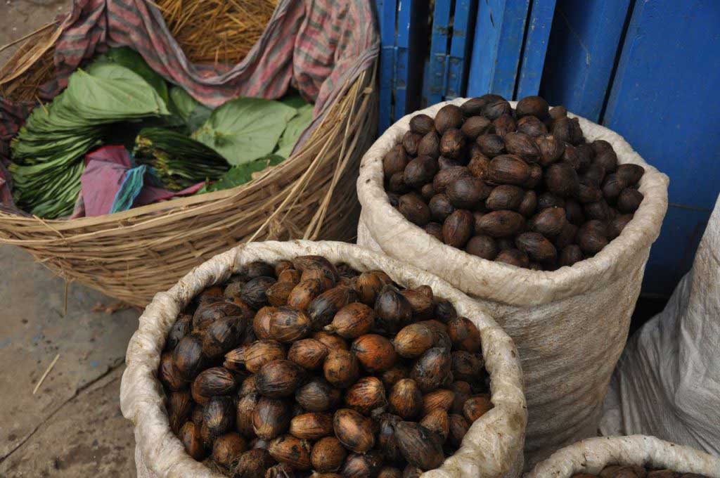 Areca nut still with the skin of the fruit