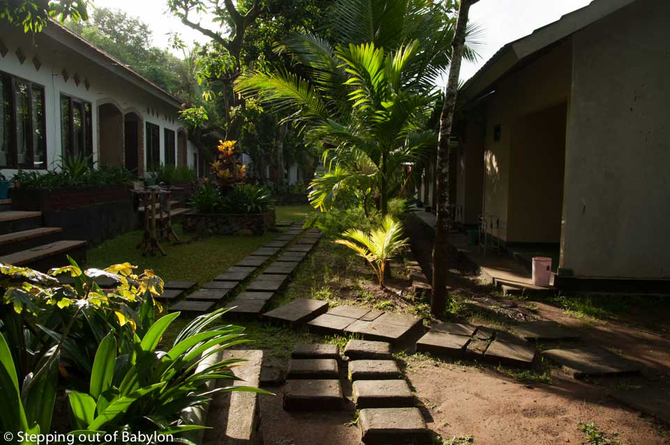 Kuta Circle with the room surrounded by a garden full of tree where the chicken move around during the day and where the frogs take over the place during the night. Kuta, Lombok