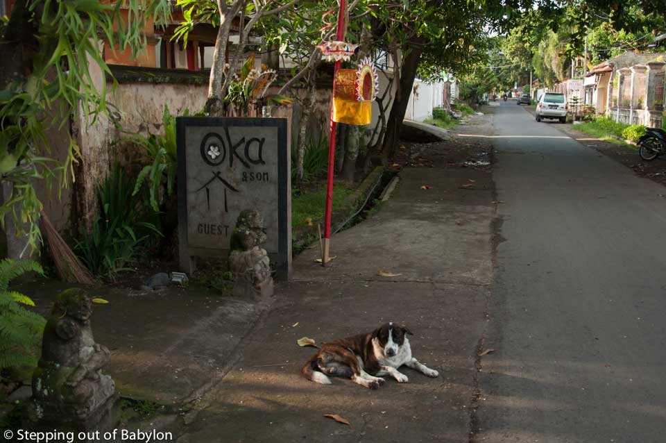Oka and son Guesthouse (Jalan Rapatmaja, Cakranegara). Mataram, Lombok