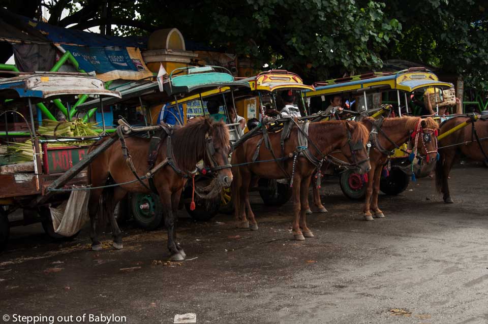 Hose cart, locally called "cidomo" are still a common way to move around the city, specially for shot distances, and that are easy to find nearby the markets area. Mataram, Lombok