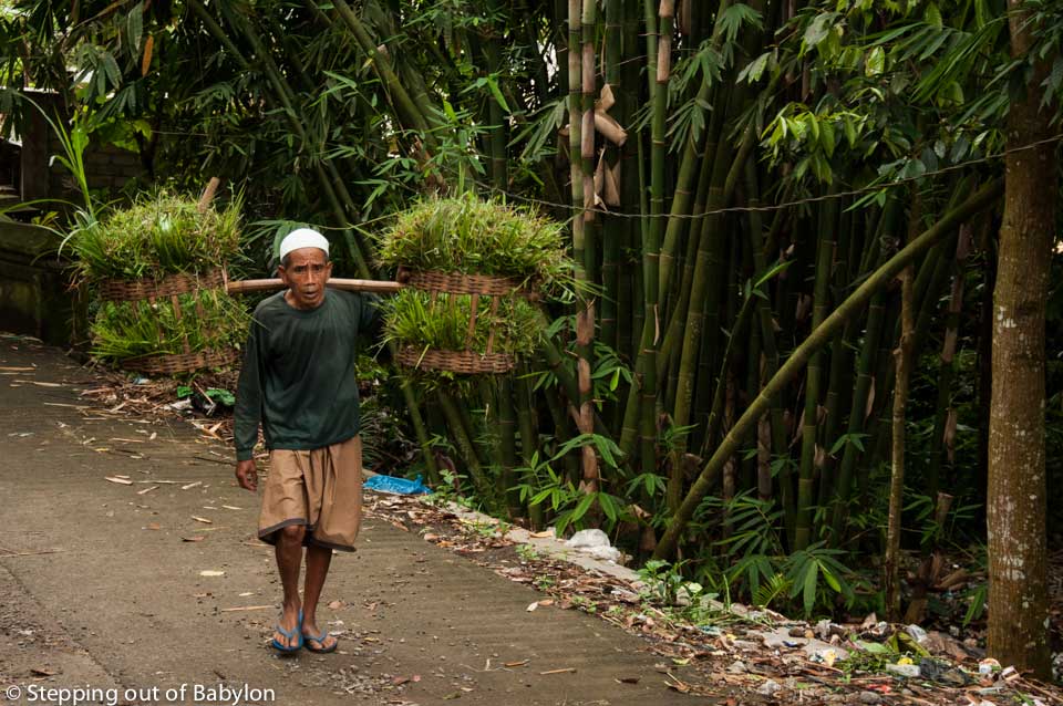 Lombok_Tetebatu_DSC_3966
