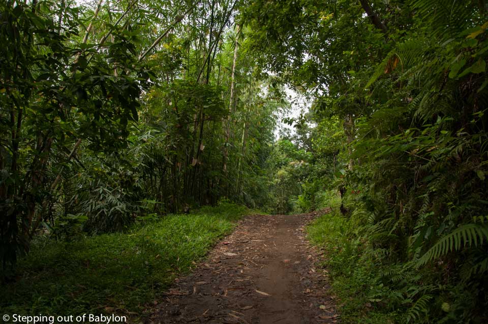 Lombok_Tetebatu_DSC_3981