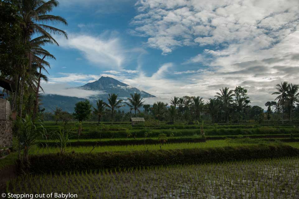 Lombok_Tetebatu_DSC_3993