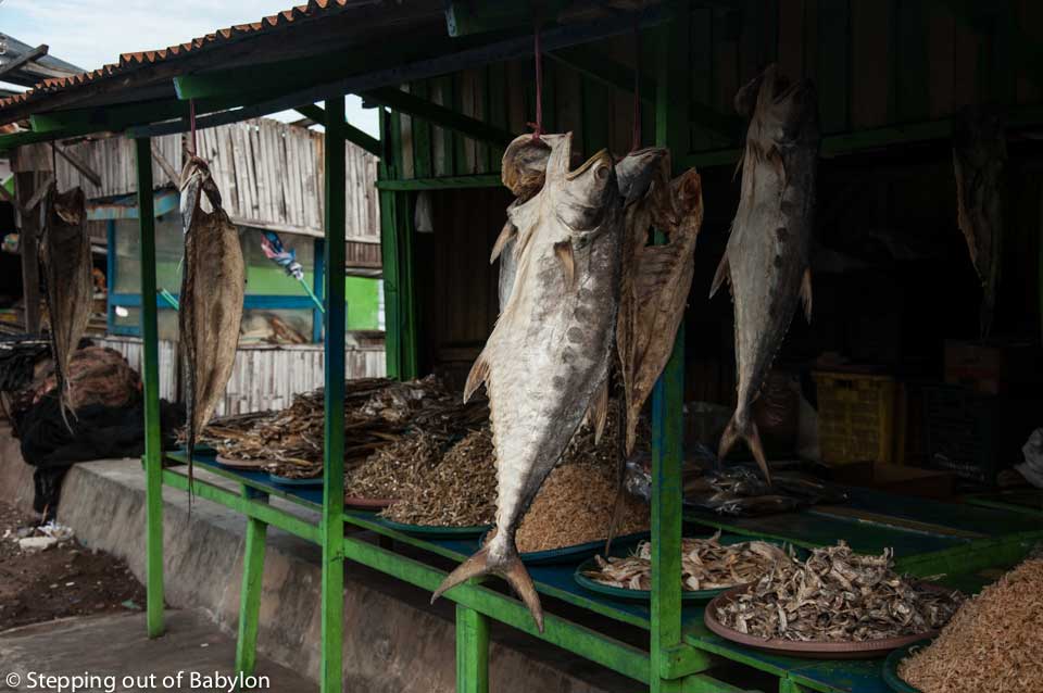 Fish MArket