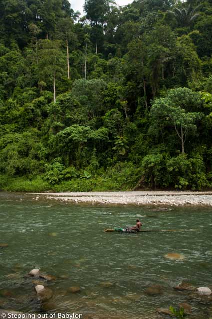 Gunung Leuser National Park . Bukit Lawang