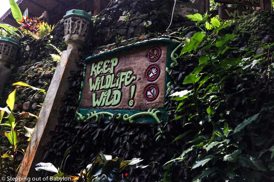 Bukit Lawang_IMG_3924